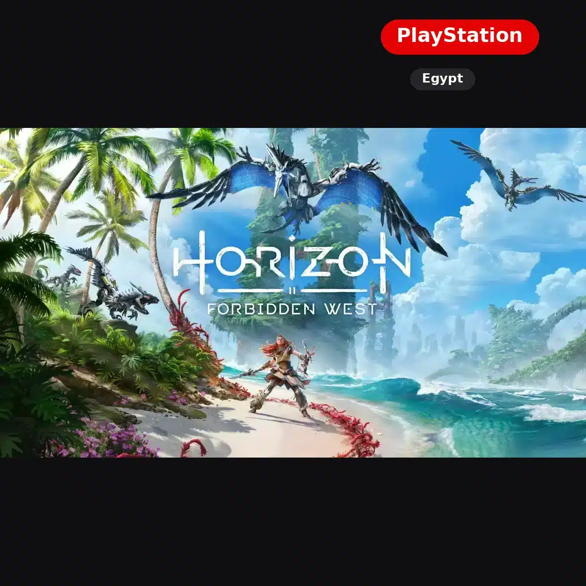 Horizon Forbidden West — platform and region — Shiko Game Store
